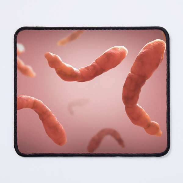 Item preview, STK701596H-Echinococcus parasites floating. designed and sold by StocktrekImages.