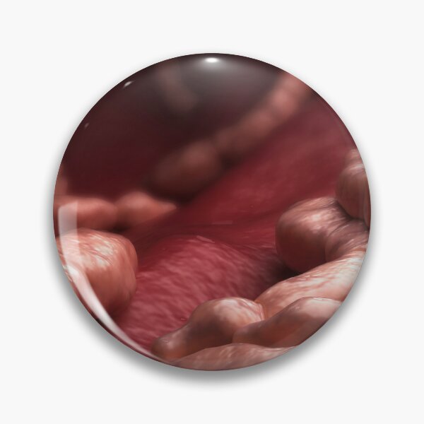 Item preview, STK701597H-Echinococcus parasites inside the liver. designed and sold by StocktrekImages.