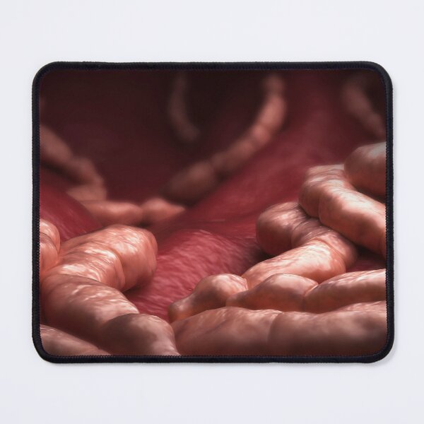 Item preview, STK701597H-Echinococcus parasites inside the liver. designed and sold by StocktrekImages.