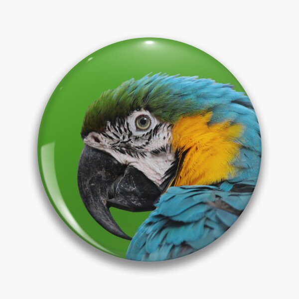 Item preview, Pacha, blue-and-yellow macaw designed and sold by FIWY.