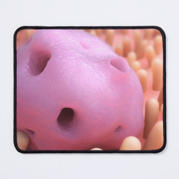 Item preview, STK701599H-Entamoeba dentro del intestino. designed and sold by StocktrekImages.