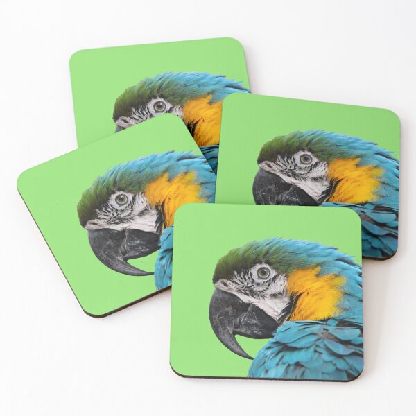 Pacha, blue-and-yellow macaw Coasters (Set of 4)