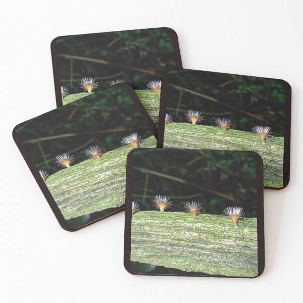 Item preview, Beautiful nature creates wor designed and sold by Anurak  Chusakuntuntiwong.