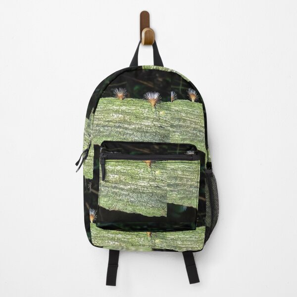 Item preview, Beautiful nature creates wor designed and sold by Anurak Chusakuntuntiwong.