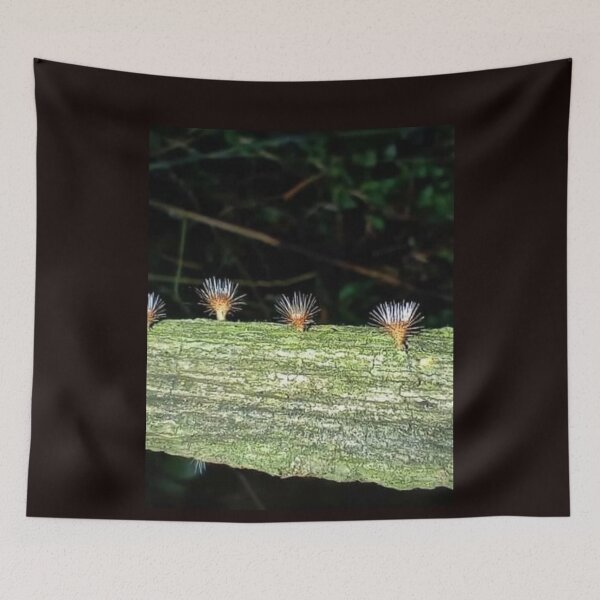 Item preview, Beautiful nature creates wor designed and sold by Anurak  Chusakuntuntiwong.
