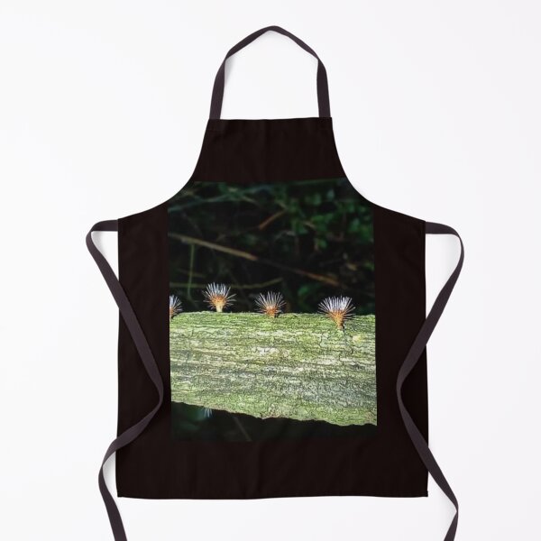 Item preview, Beautiful nature creates wor designed and sold by Anurak Chusakuntuntiwong.
