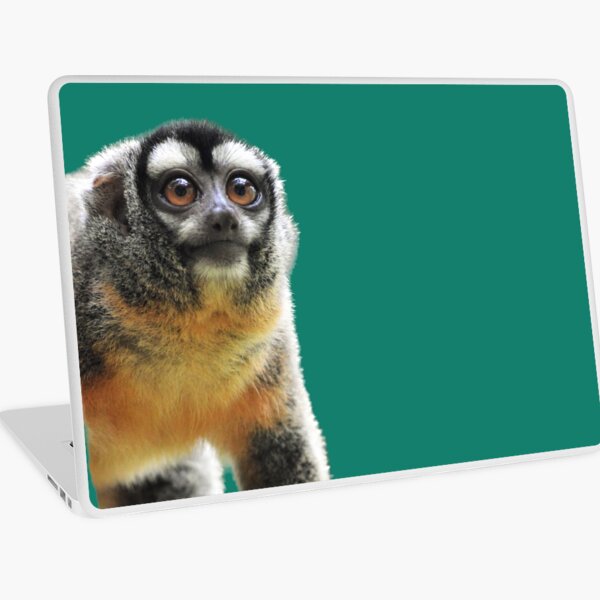 Francis the night monkey Laptop Skin