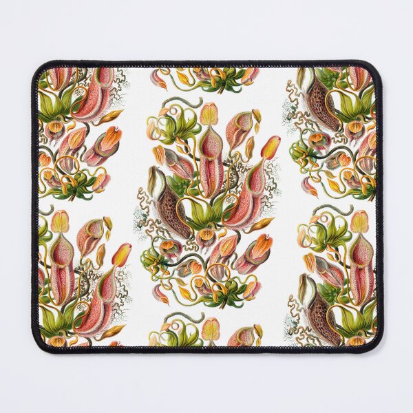Item preview, Ernst Haeckel Nepenthaceae Pitcher Plant designed and sold by aimeewilson.