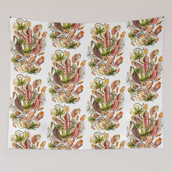 Item preview, Ernst Haeckel Nepenthaceae Pitcher Plant designed and sold by aimeewilson.