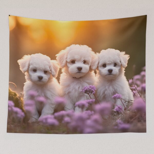 Item preview, Cute Bichon Frise puppies dog breed in nature photography designed and sold by NBSStore.