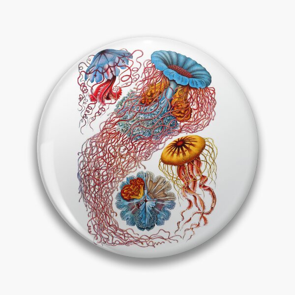 Item preview, Ernst Haeckel Jellyfish Discomedusae designed and sold by aimeewilson.