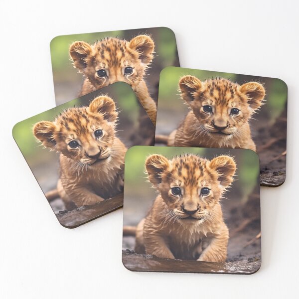 Item preview, Cute African baby lion cub, little wild cat predator animal in tropical savanna wildlife nature designed and sold by NBSStore.