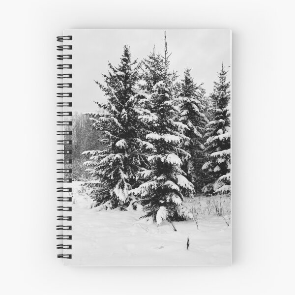 Item preview, Christmas trees covered with snow bw designed and sold by Jouko Lehto Photography.