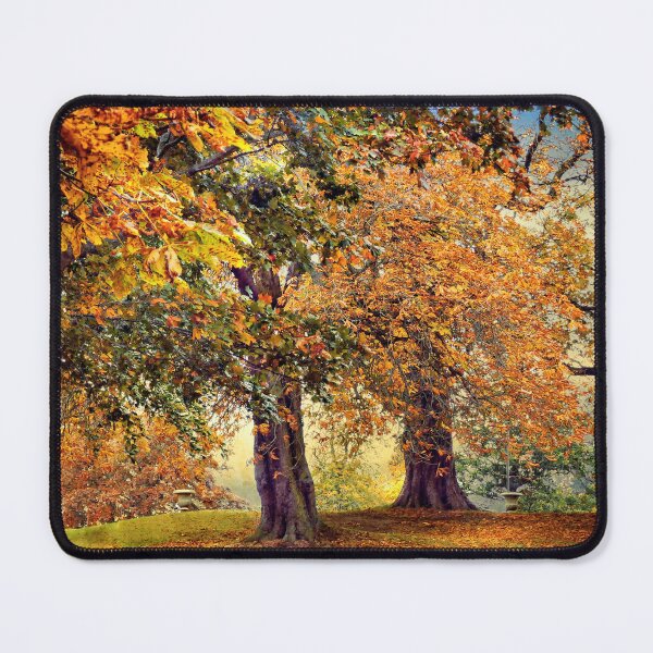 Item preview, Autumn Trees at Wynyard Hall designed and sold by RosRidleyPhoto.