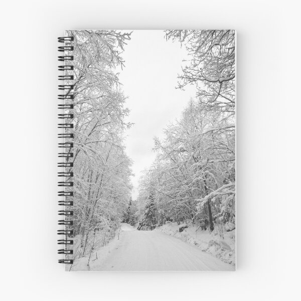 Item preview, Winter road 6 Parkkuu 2023 bw designed and sold by Jouko Lehto Photography.