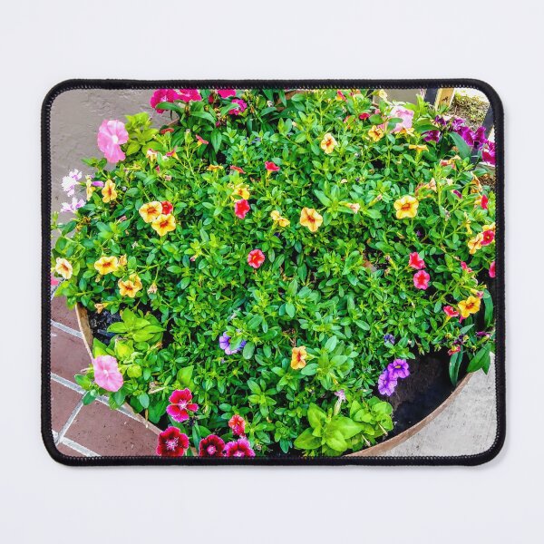 Item preview, Random pot of flowers designed and sold by danaart.