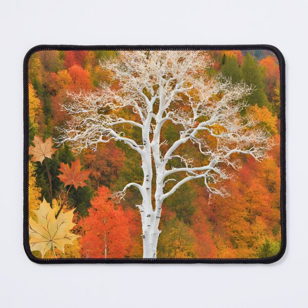 Item preview, sycamore tree stands out against the fall colors  designed and sold by Modern-Tropical.