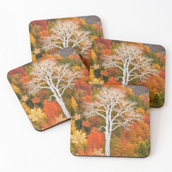 Item preview, sycamore tree stands out against the fall colors  designed and sold by Modern-Tropical.