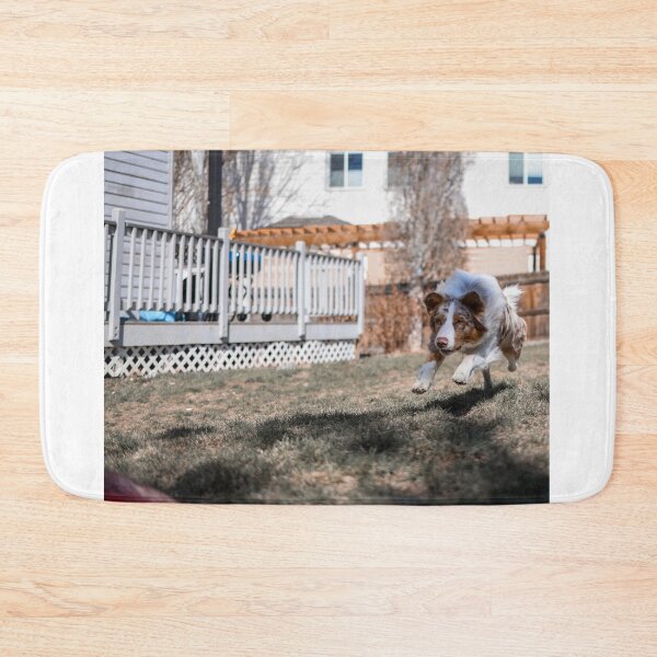 Item preview, Australian Shepherd Sprinting after Toy designed and sold by kenedyraemedia.