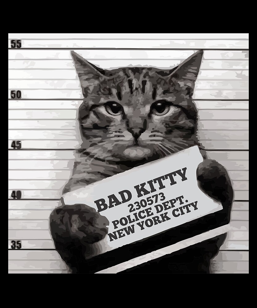  Mugshot Cat  Mr Furrypants Bad Kitty by printedkicks 