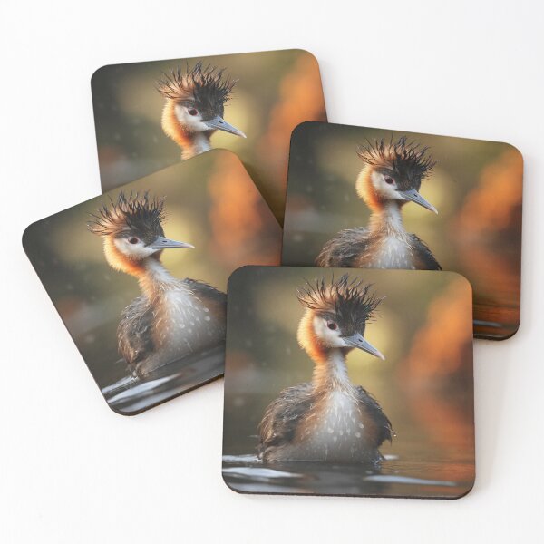 Item preview, Pūteketeke (Australasian crested grebe) designed and sold by Brendon987.