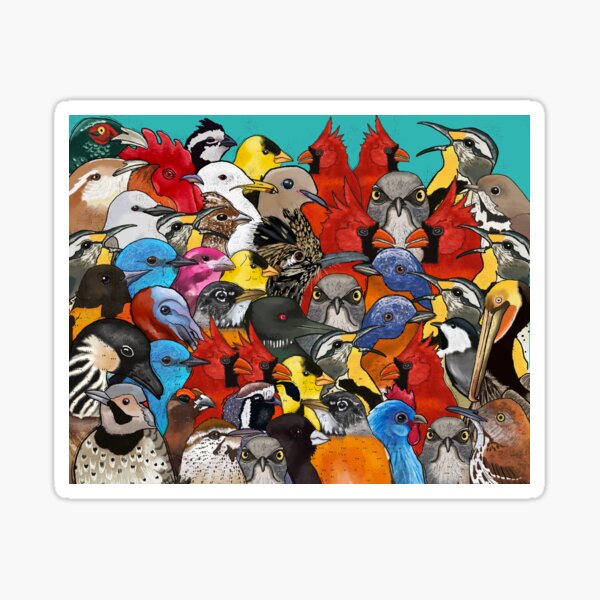 Item preview, All 50 State Birds designed and sold by Kim Rausch.