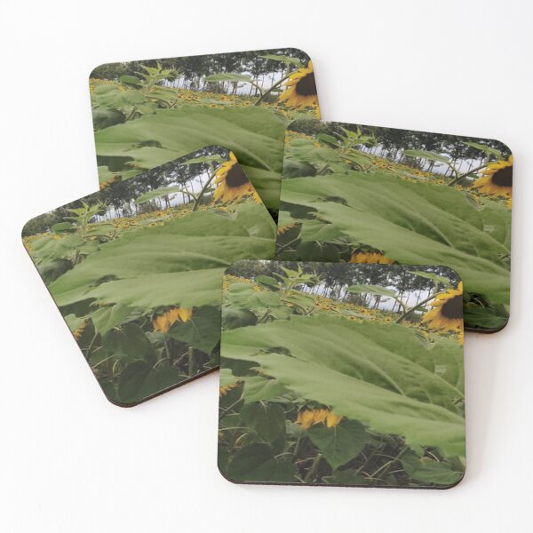 Item preview, Blossoming Sunflower, Kenya designed and sold by annenambiro.