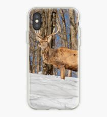King of the Hill iPhone Case