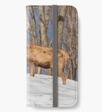 King of the Hill iPhone Wallet/Case/Skin