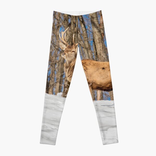 King of the Hill Leggings