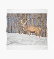 King of the Hill Scarf