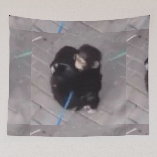 Item preview, Cute monkeys hug designed and sold by sillysprout.