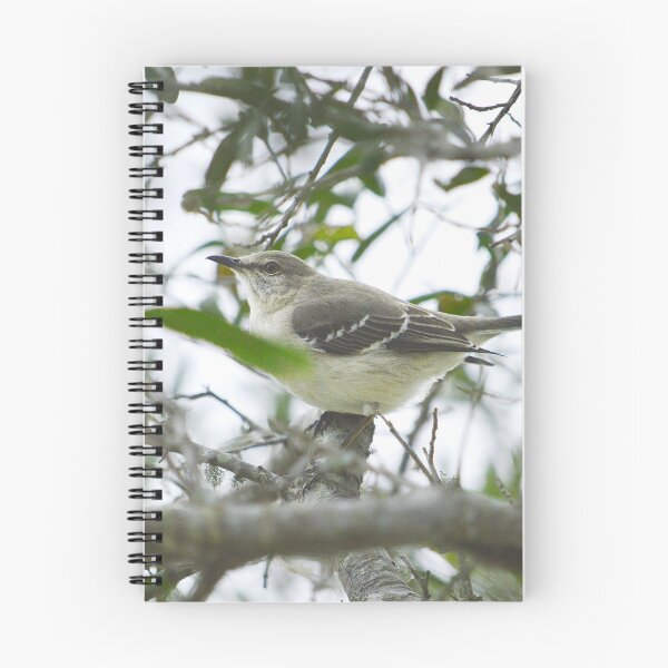 Item preview, Mockingbird designed and sold by Nature's Reflections.