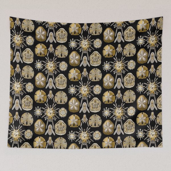 Item preview, Ernst Haeckel Echinidea Sea Urchin designed and sold by aimeewilson.