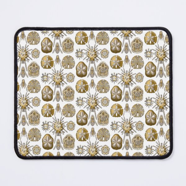 Item preview, Ernst Haeckel Echinidea Sea Urchin designed and sold by aimeewilson.
