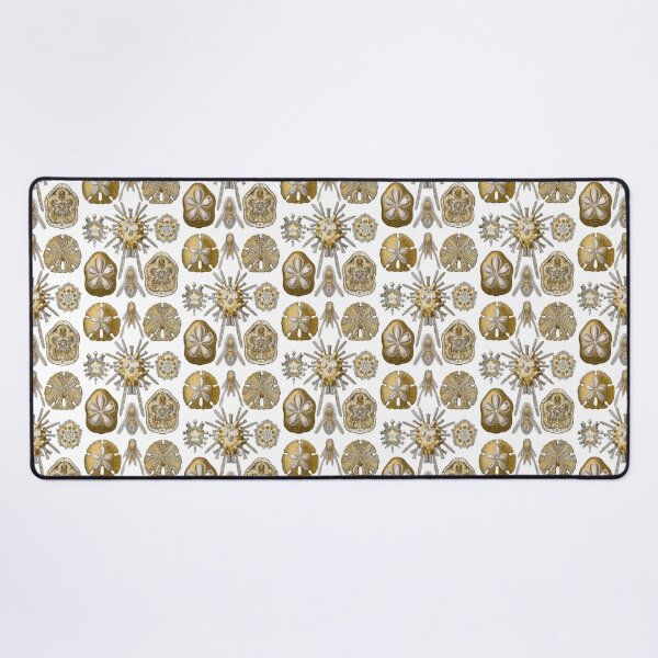 Item preview, Ernst Haeckel Echinidea Sea Urchin designed and sold by aimeewilson.