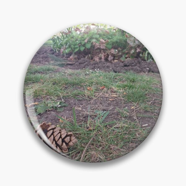 Item preview, #310 |☼| Pine Cone - Ground Perspective (Jephson Gardens) designed and sold by Naean H.F. (Nez Man).