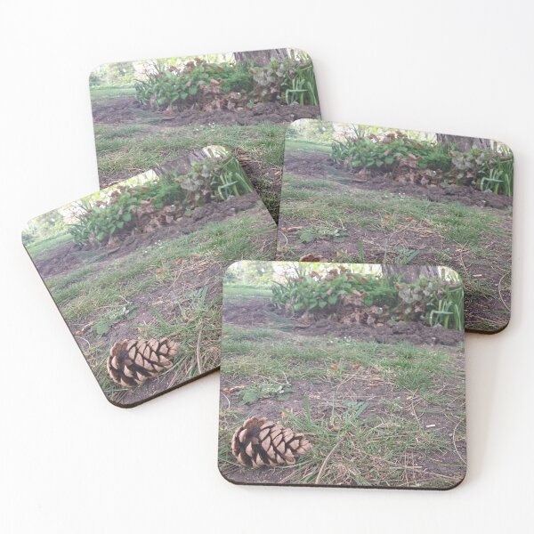Item preview, #310 |☼| Pine Cone - Ground Perspective (Jephson Gardens) designed and sold by Naean H.F. (Nez Man).