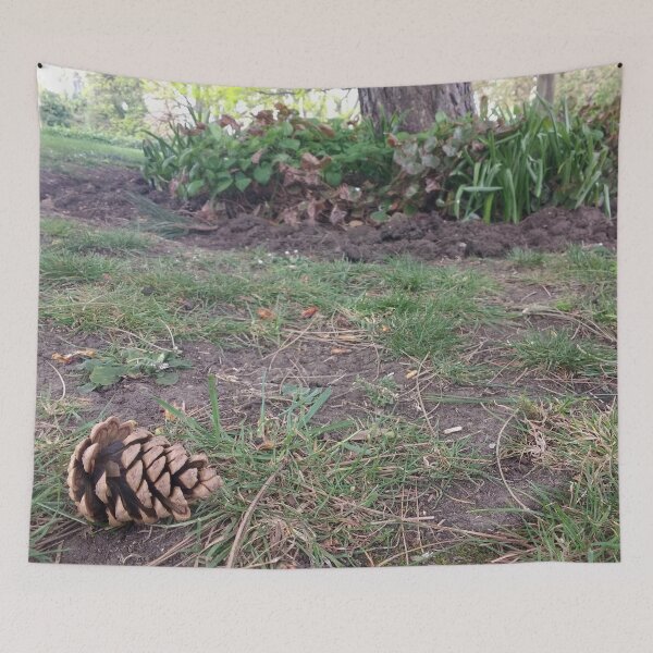 Item preview, #310 |☼| Pine Cone - Ground Perspective (Jephson Gardens) designed and sold by Naean H.F. (Nez Man).