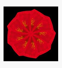 WDVT Mandala - 0038 - Hill Photographic Print