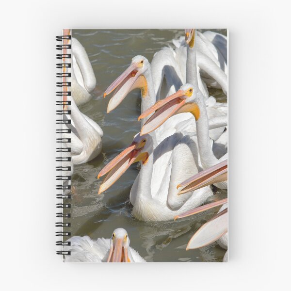 Item preview, Hungry Pelicans designed and sold by Eunice Gibb.