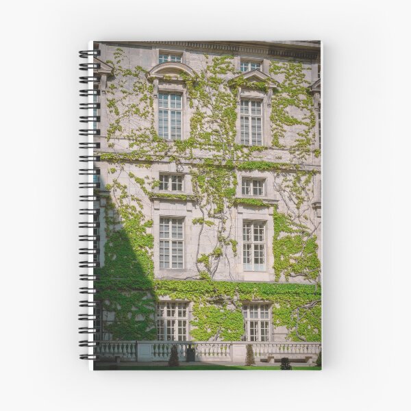 Item preview, vines on wall designed and sold by zachmtz815.