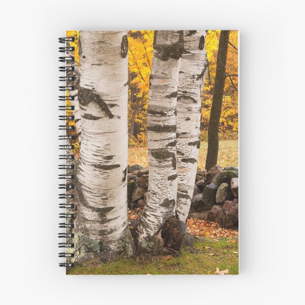 Item preview, Fall Birch designed and sold by Eunice Gibb.