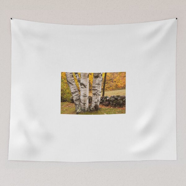 Item preview, Fall Birch designed and sold by Eunice Gibb.