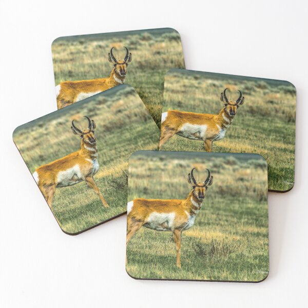 Item preview, Antelope (Pronghorn) in the Red Rocks Lakes National Wildlife Refuge designed and sold by Bryan Spellman.