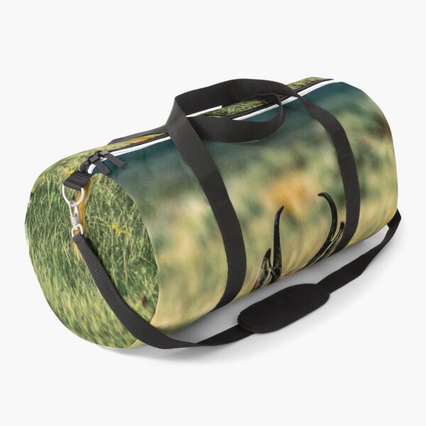 Item preview, Antelope (Pronghorn) in the Red Rocks Lakes National Wildlife Refuge designed and sold by Bryan Spellman.