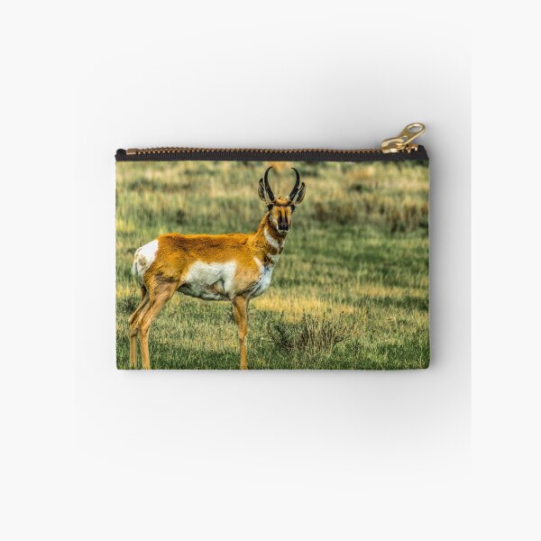 Item preview, Antelope (Pronghorn) in the Red Rocks Lakes National Wildlife Refuge designed and sold by Bryan Spellman.