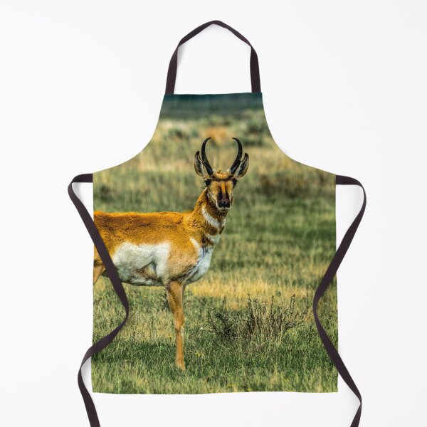 Item preview, Antelope (Pronghorn) in the Red Rocks Lakes National Wildlife Refuge designed and sold by Bryan Spellman.