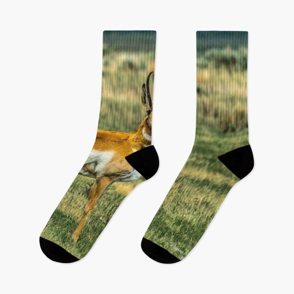 Item preview, Antelope (Pronghorn) in the Red Rocks Lakes National Wildlife Refuge designed and sold by Bryan Spellman.
