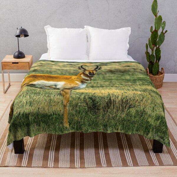 Item preview, Antelope (Pronghorn) in the Red Rocks Lakes National Wildlife Refuge designed and sold by Bryan Spellman.